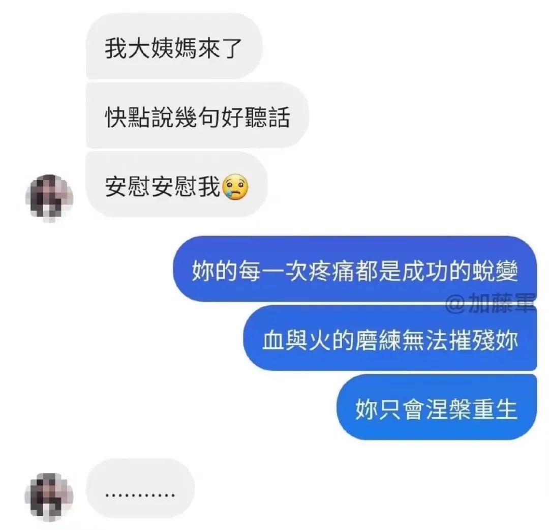 猫：甘霖娘累，鸡掰人类