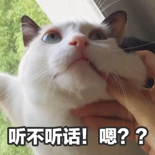 “对精液过敏是种怎样的体验？”