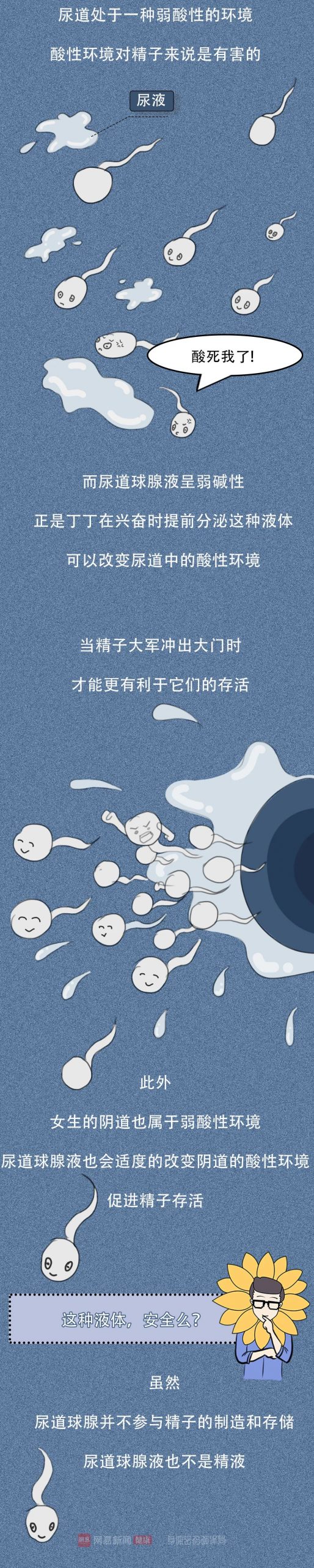 男生丁丁兴奋时，流出的液体是什么？