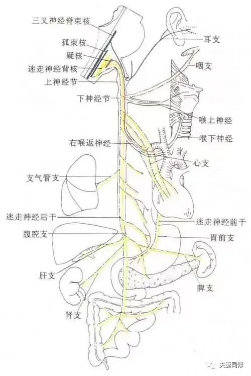 DOI 时听说男生这样做，她瞬间就被征服了？