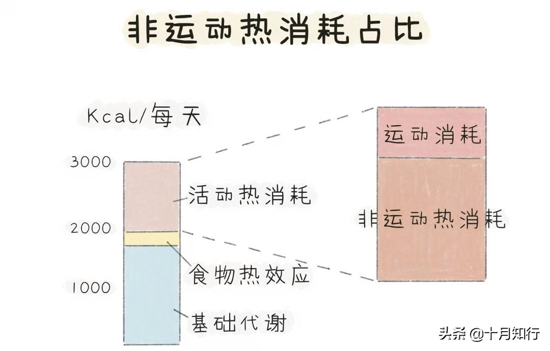 什么是微胖，为什么微胖人群减肥难？如何摆脱微胖身材？