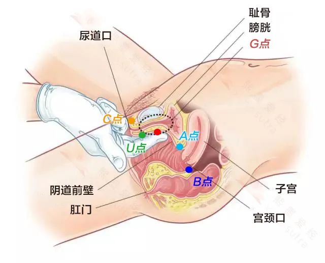 高巢总是差一点？学会这个方法让你想来就来！