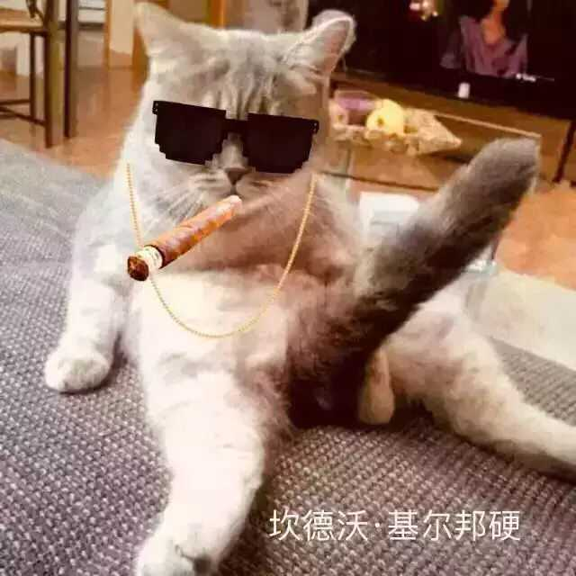 男生丁丁，那些难以启齿的私密数据...