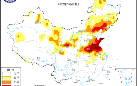 玉米市场走势逆转!山东、东北玉米价格大范围上涨!(东北玉米价格还会上涨吗)