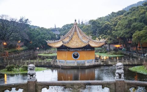 普陀山佛教日(普陀山旅游攻略东极岛)