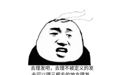 “不被定义文学”是什么梗？