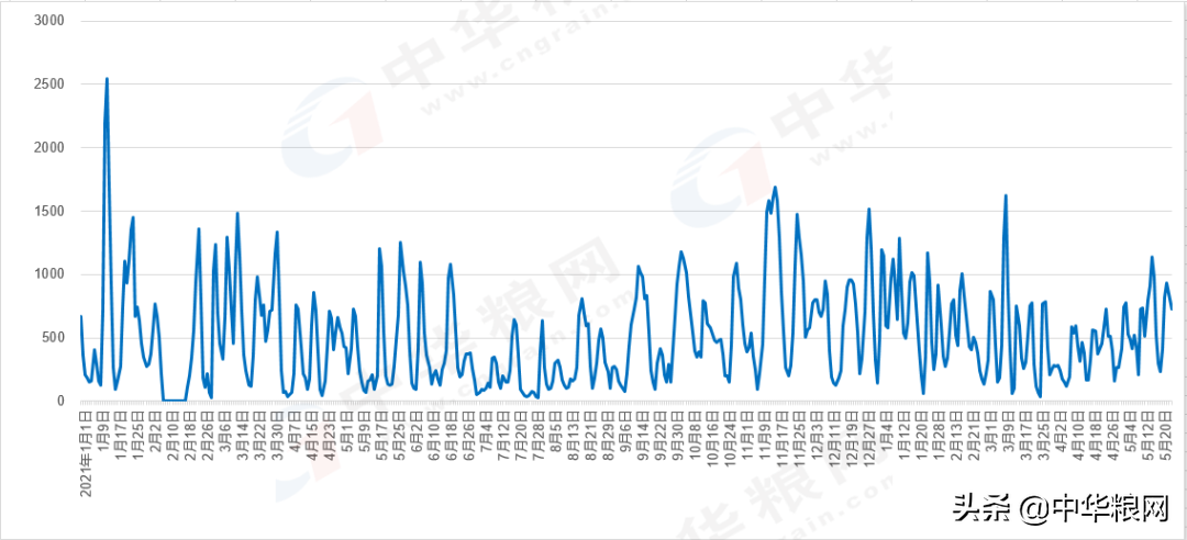 5月25日新麦大范围下跌，面粉厂价格跌破1.6；玉米继续下跌