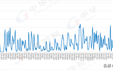 5月25日新麦大范围下跌，面粉厂价格跌破1.6；玉米继续下跌