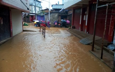 凶兆？云南暴雨动物受惊，尖叫跳跃，老人担心地震。真的吗？