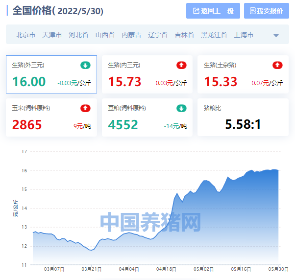 全国生猪价格涨跌表2022年5月30日，“有价无市”养猪户太难了