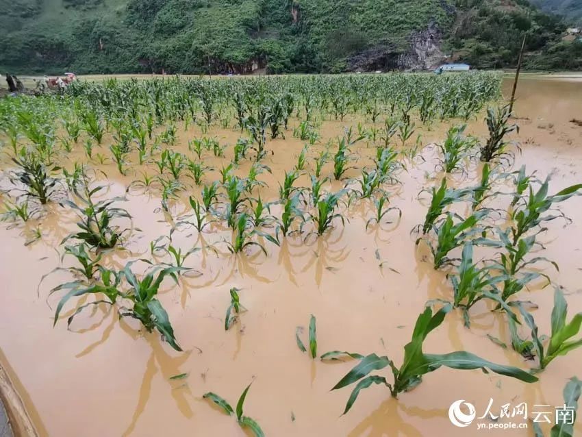 广西三名小孩被洪水冲走……最新通报