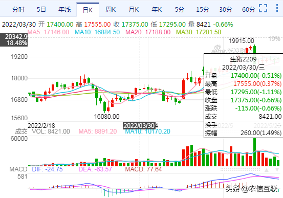 专家：猪价已进入上升通道！下半年要破10？25日猪肉价格调整信息