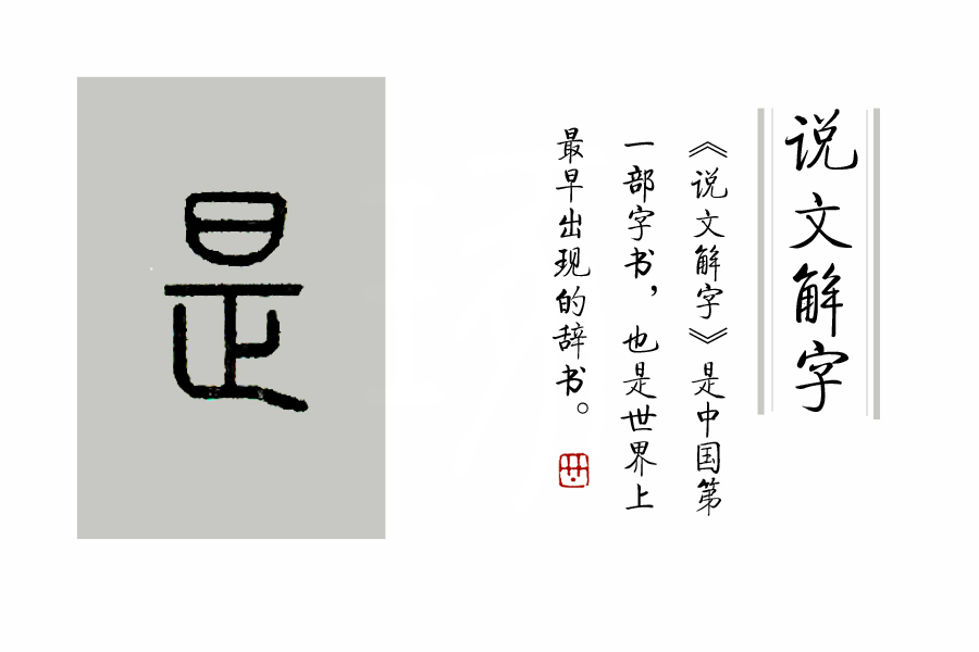 《说文解字》第225课：细说“是”字