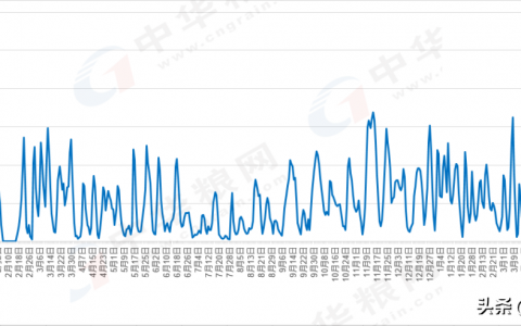 5月23日新麦数量增加 价格下跌 玉米价格下跌-