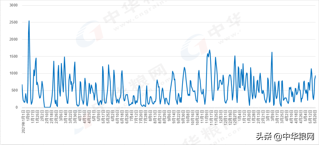 5月23日新麦上量加大价格回落，玉米价格下跌