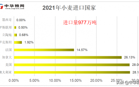 2020年小麦价格走势图(2020年小麦行情分析)