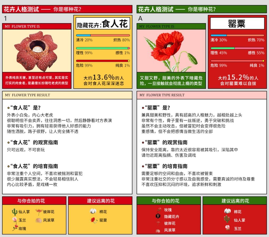 IG热门心理测验「你的花卉人格」！1分钟内测出性格、相处指南，以及与你合拍的人