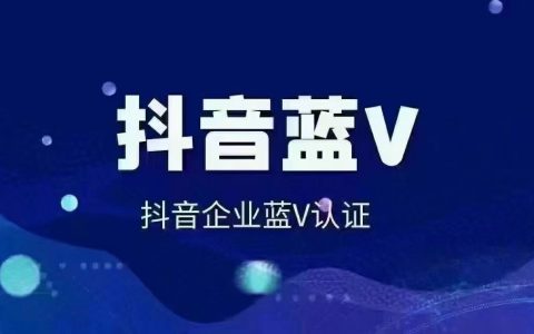 抖音seo软件工具，抖音seo系统