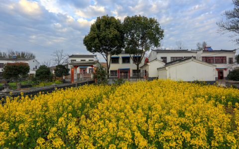 92号汽油价格下调，成品油价年内第十次上调,加满一箱92号汽油多花7元