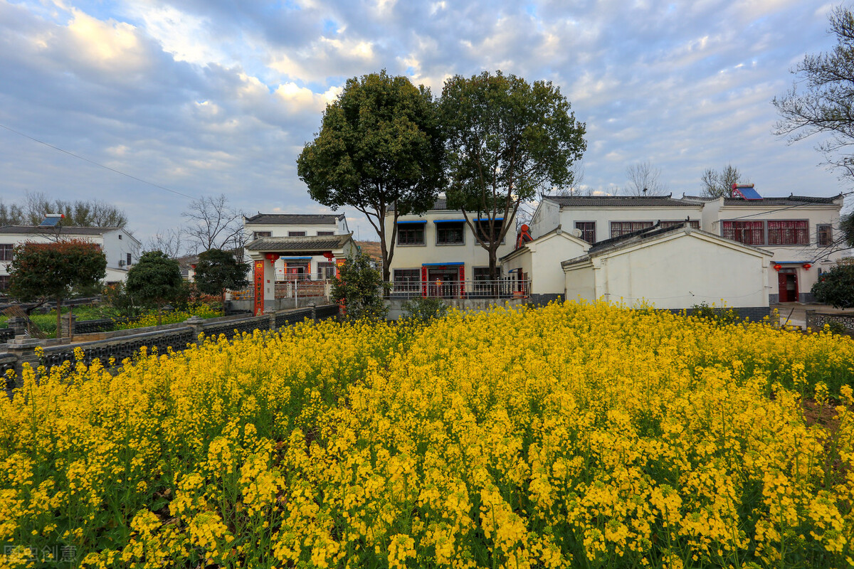 油价下跌！92、95号汽油，0号柴油限价！下半年两项费用要征收