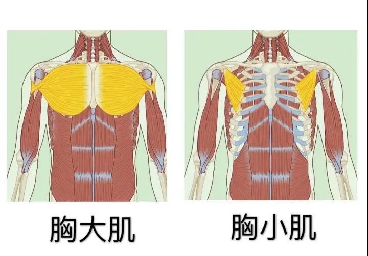 男朋友那里太大，受不了怎么办？（附增大秘籍）