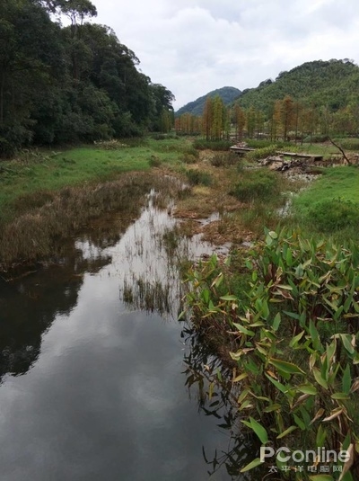 AI技术已达如此高度：去码、上色6到飞起