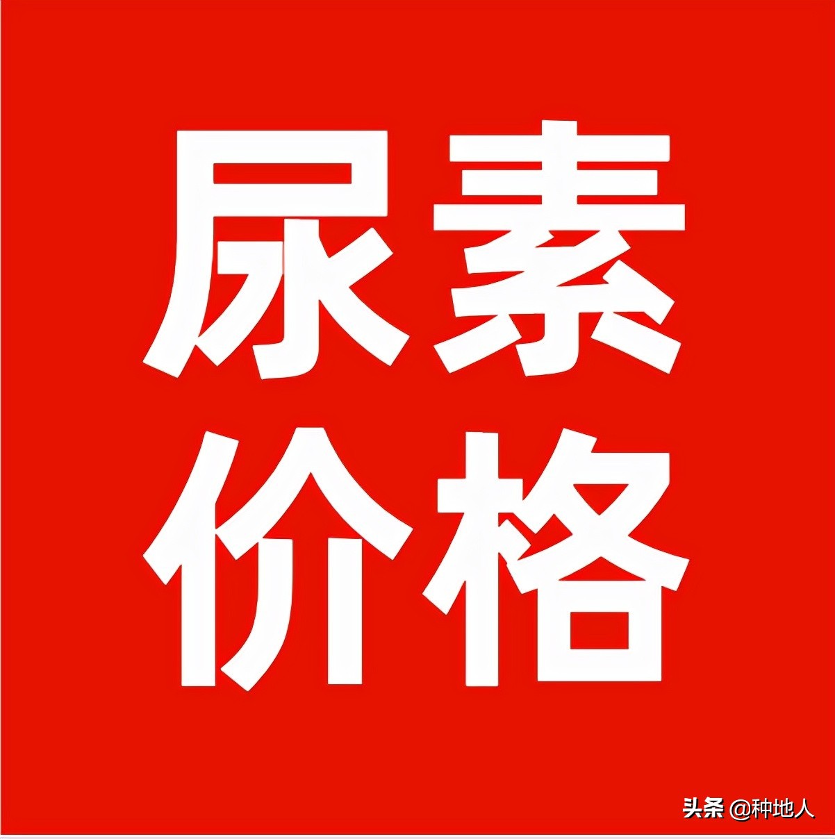 尿素，终于掉价了！6月13日全国价格行情