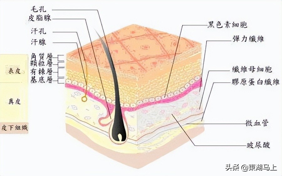 化妆的正确步骤有哪些？你都有了解吗？