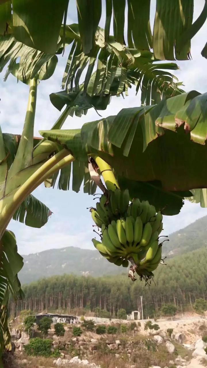 那个考场，只有一位考生