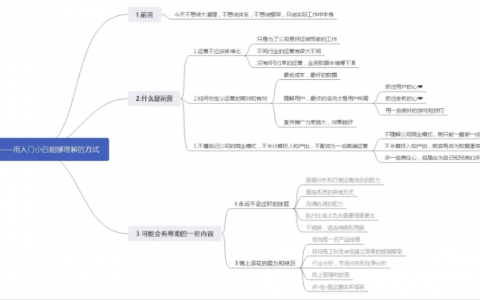 浅谈运营内控经理队伍建设，浅谈运营过程中业主的主导作用