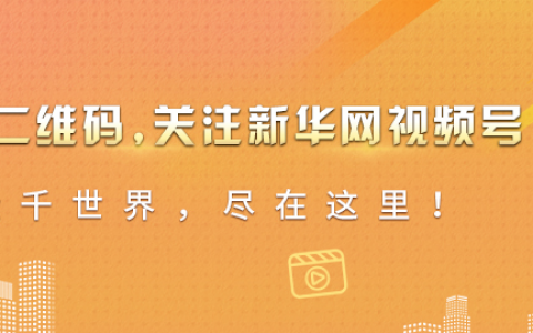 社保“征缴”不管用！正在整改。