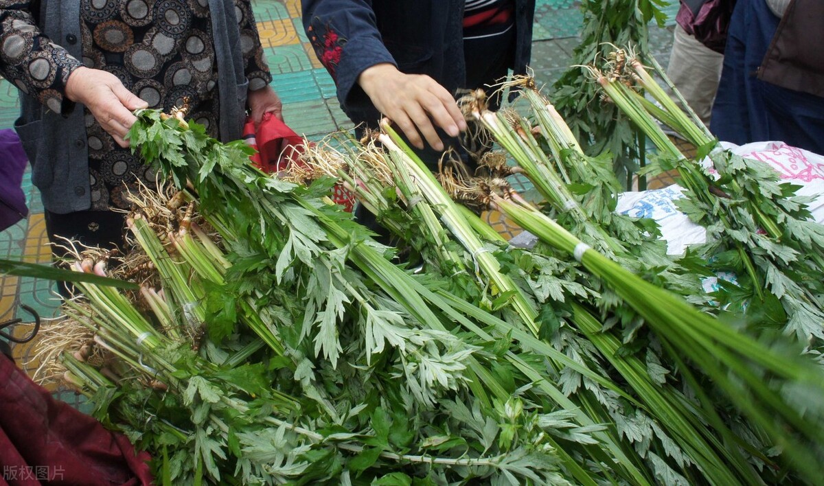 端午节，艾草“顺挂”还是“倒挂”，有什么讲究？建议早点了解