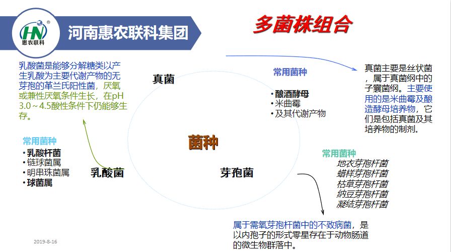 021.10.4鸡蛋价格，2021.8.20鸡蛋价格"