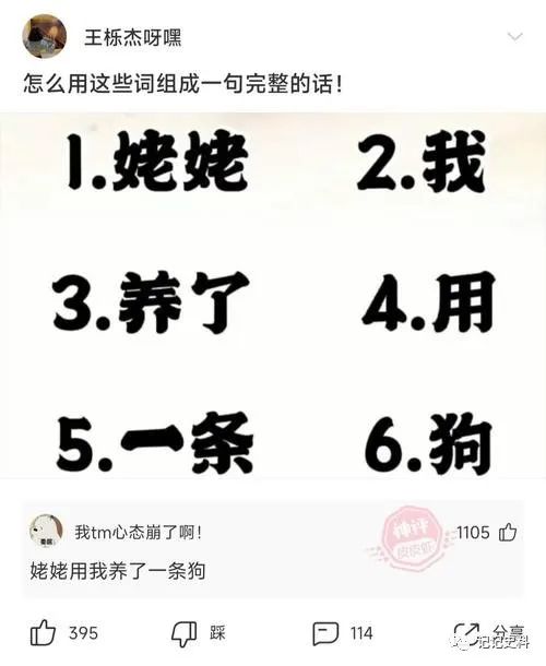 怎么用这些词组成一句完整的话！网友:姥姥用我养了一条狗。