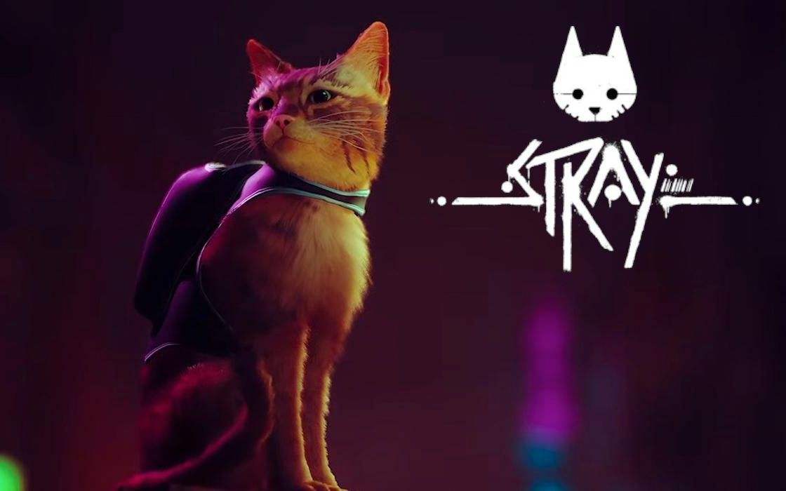 《迷失（stray）》乐谱位置汇总