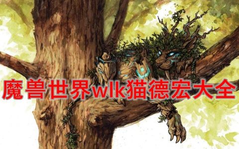 魔兽世界9.0猫德宏(魔兽世界tbc猫德宏)