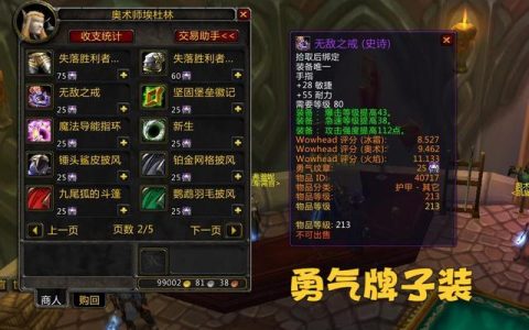 魔兽世界装备介绍(魔兽世界装备p1是什么意思)