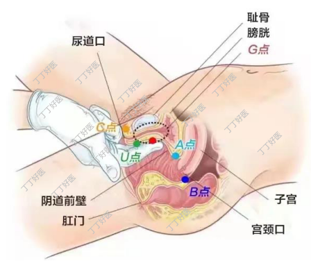 什么样的体位能让女生快速高潮？