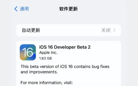 ios14.2 beta2，ios 14.6 beta