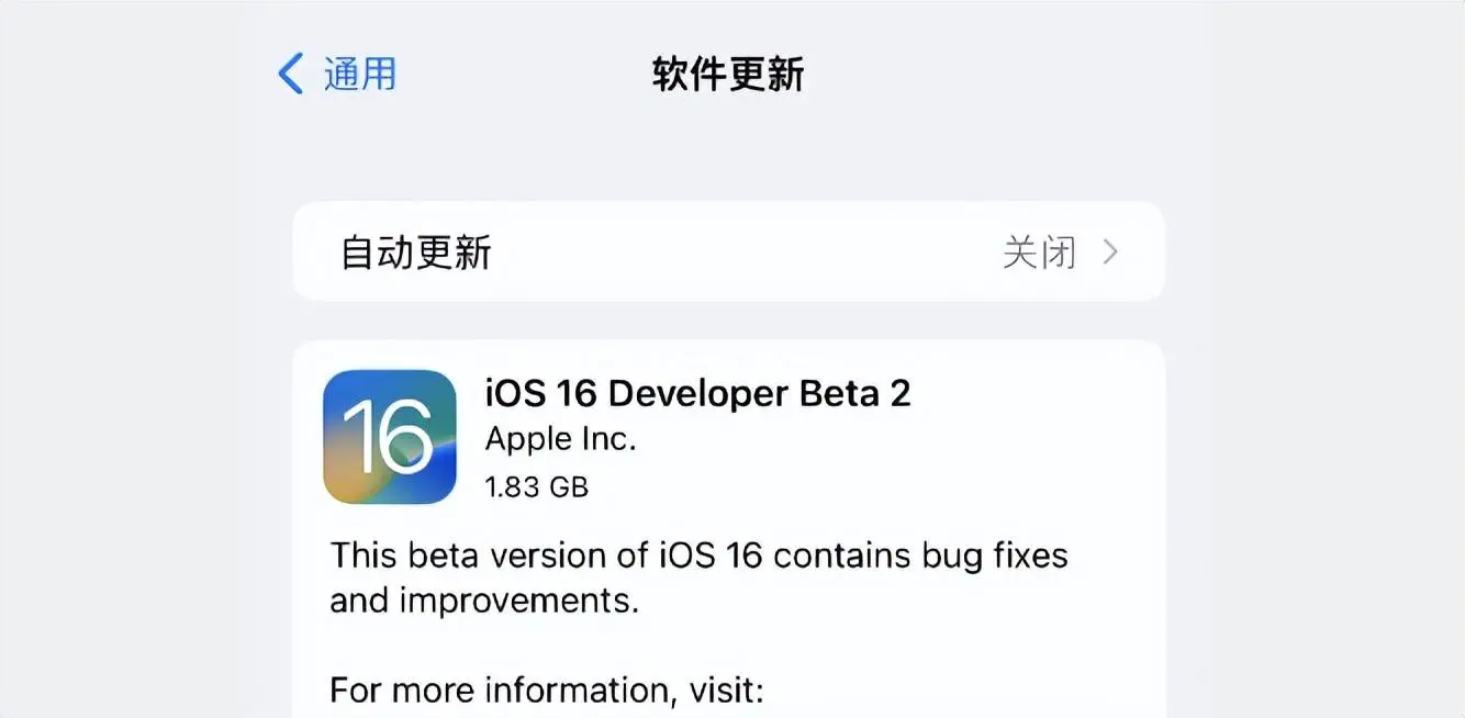 ios14.2 beta2，ios 14.6 beta