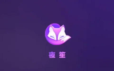 夜笙APP最新版本(2022最新版下载)