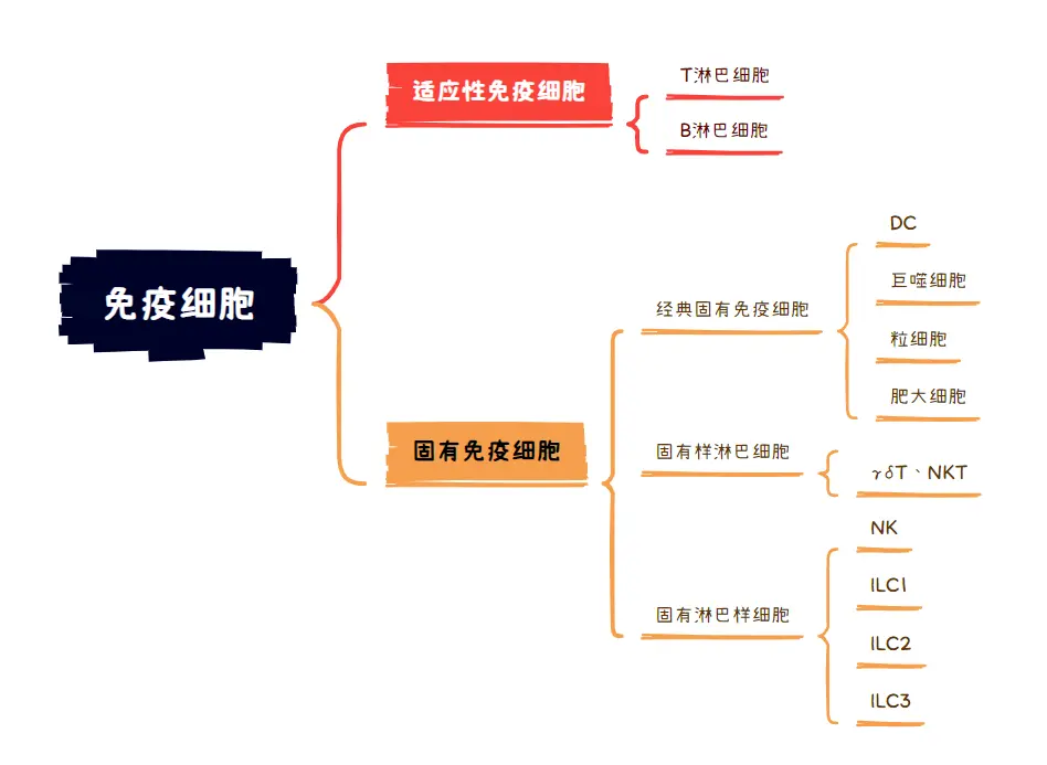 实用软件分享（二）|Xmind