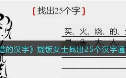 离谱的汉字烧饭女士找出25个汉字通关攻略