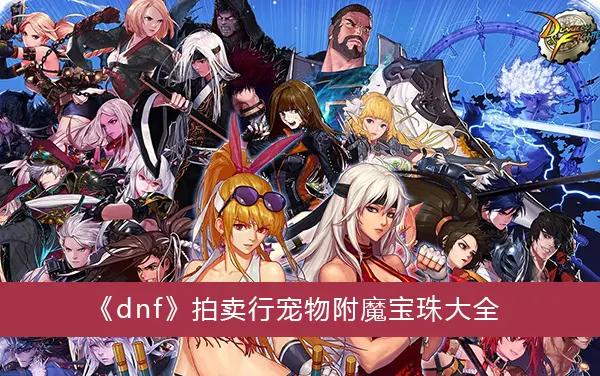 dnf拍卖宠物附魔宝珠大全