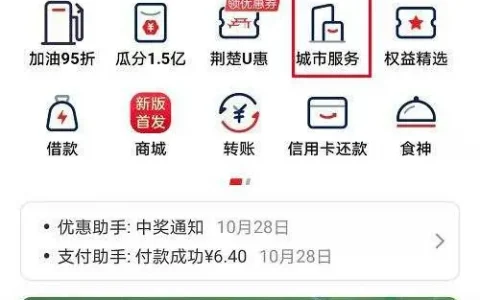 云闪付怎么交不了养老保险，云闪付怎么交养老保险在手机交