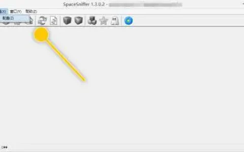 spacesniffer中文版使用方法，spacesniffer使用方法